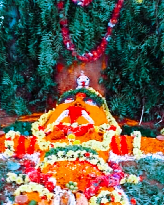 WhatsApp Image 2025-11-18 at 1.53.51 PM (1)