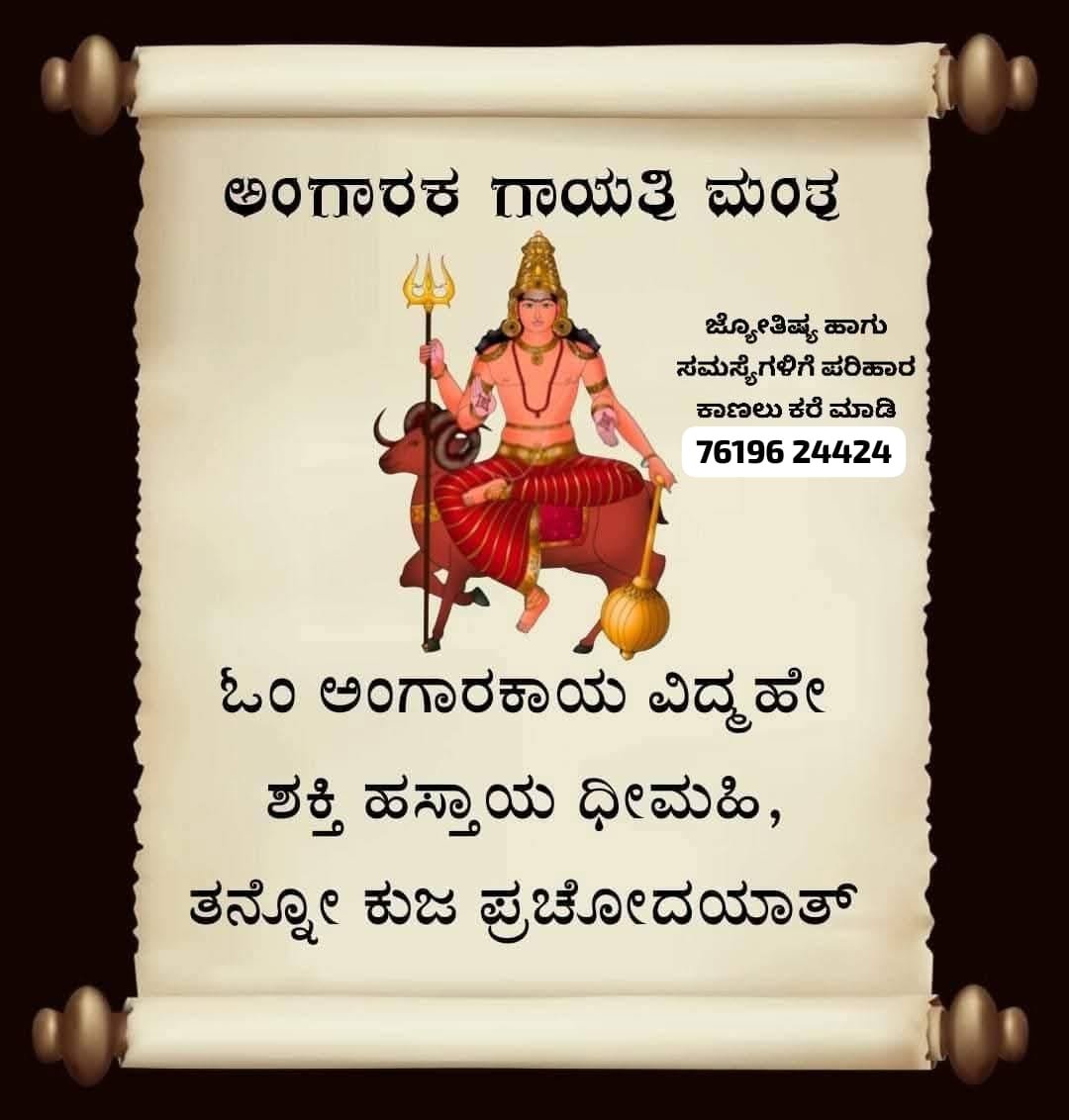 WhatsApp Image 2025-11-20 at 4.12.15 PM