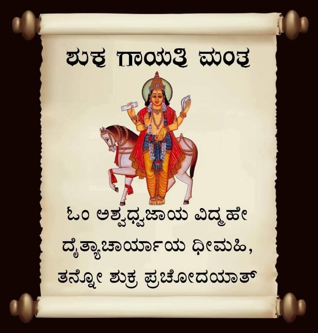 WhatsApp Image 2025-11-20 at 4.12.19 PM (1)