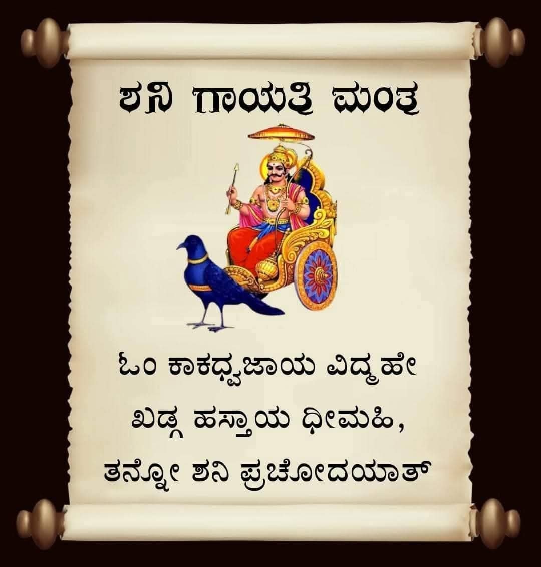 WhatsApp Image 2025-11-20 at 4.12.20 PM