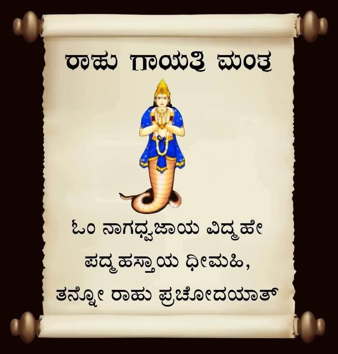 WhatsApp Image 2025-11-20 at 4.12.21 PM